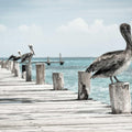 Merino Packable Bucket Hat, view 1