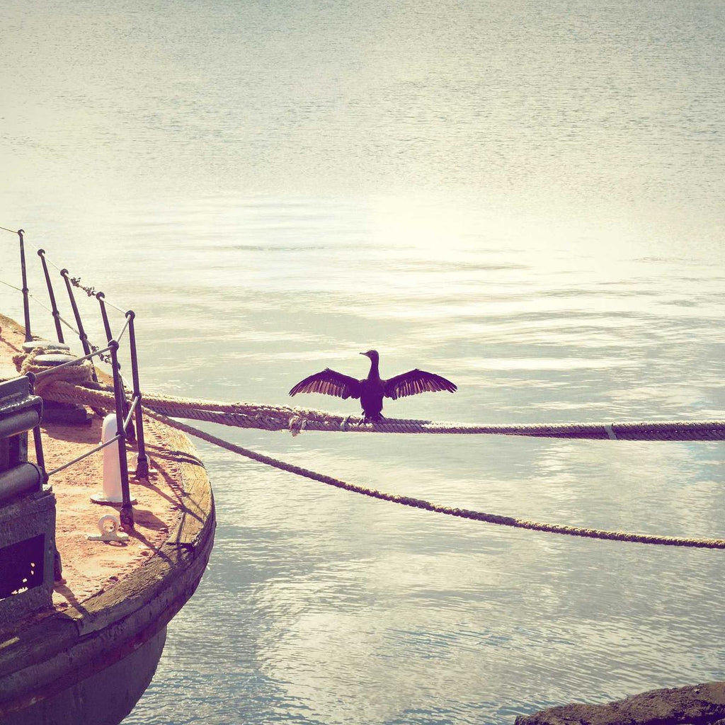 Oiled Walnut Dimmable Pendant Light, view 1
