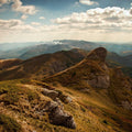 Oiled Walnut Woven Basket, view 1