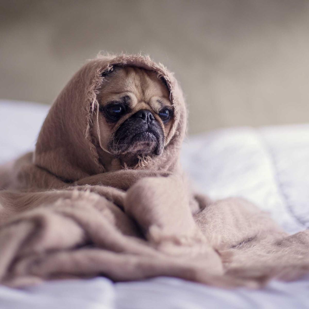 Powder-Coated Steel Woven Shelf, view 2