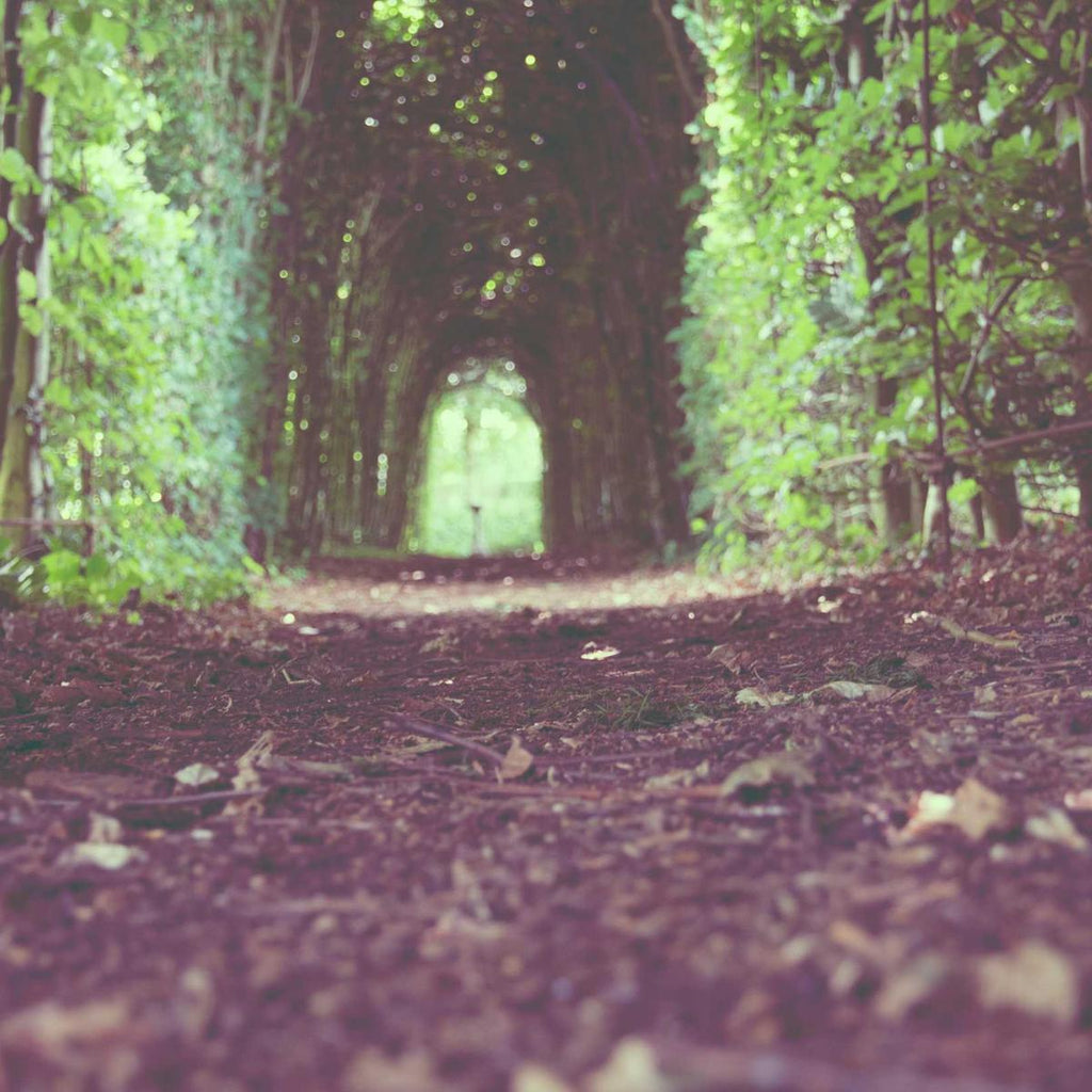Ripstop Lightweight Jacket, view 1